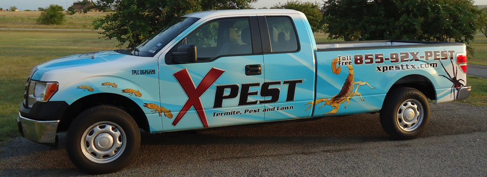 XPest bed bug control truck