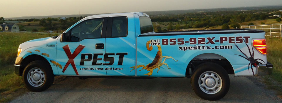 XPest animal removal rodent proofing truck